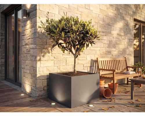 Palatino Pflanzkübel Pflanzgefäß Clara Metall anthrazit UV-beständig 100x100cm - 4260445861376