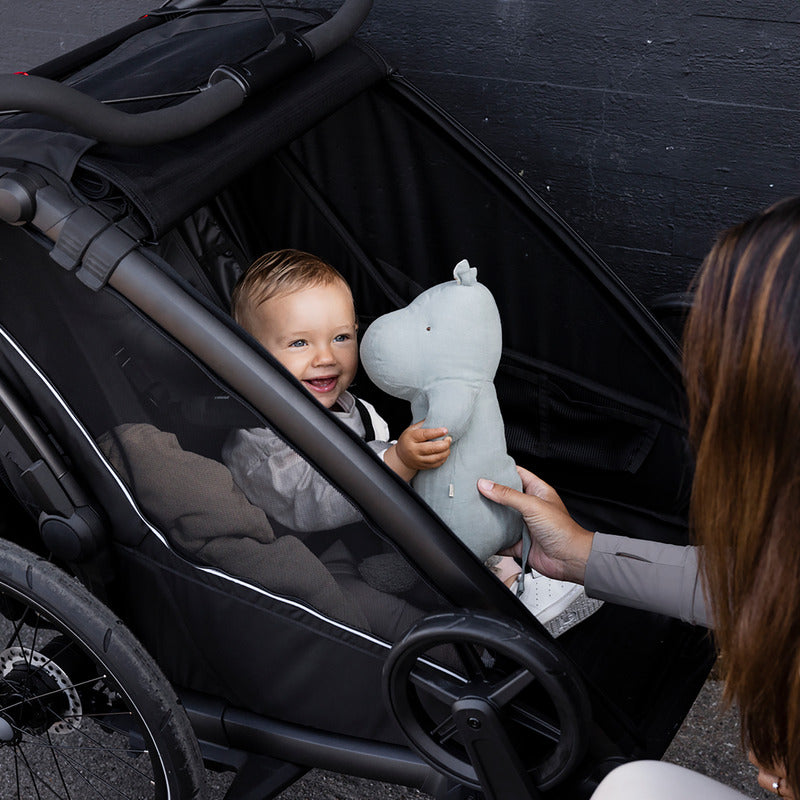 THULE Chariot Sport 2 Double Kinderanhänger Jogging Schwarz 2 Plätze - 0197074564740