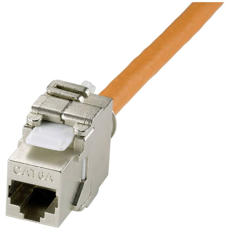Renkforce Netzwerk Kabeltrommel RJ45 CAT 7a S/FTP 50m orange rund flexibel - 4064161019093