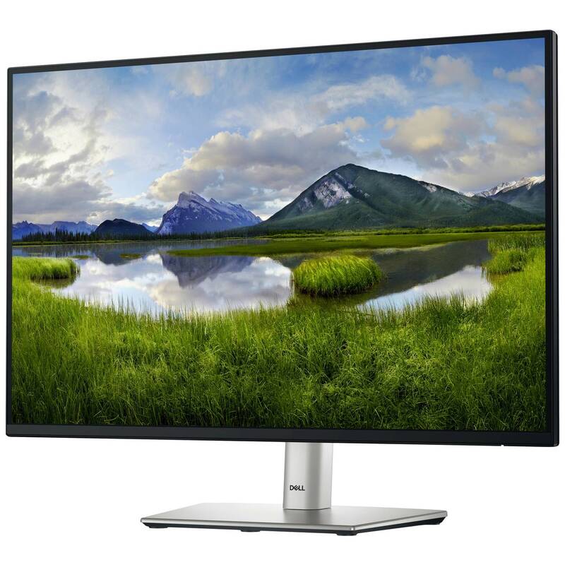 Dell P2425 LED Monitor Bildschirm Monitor 24 Zoll Full HD Schwarz DEFEKTWARE - 5397184821671