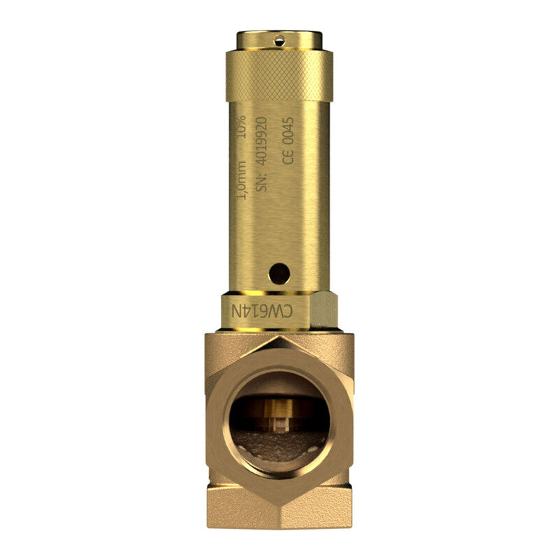 Riegler Eck-Sicherheitsventil G 1 1/4 6 bar für Flüssigkeiten Rotguss Messing - 4047322039611