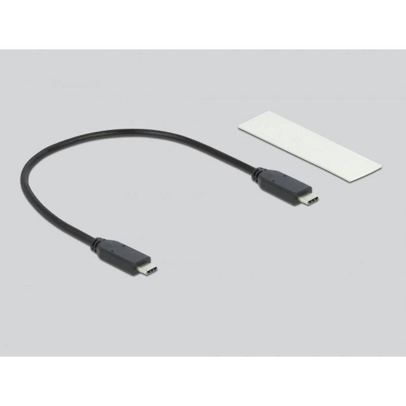 Delock Gehäuse Festplattengehäuse M2 SSD NVMe PCIe USB C silber werkzeuglos - 4043619420018