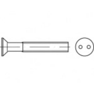 B-Ware TOOLCRAFT TO-5379963 Sicherheitsschrauben M5 Zweiloch Schrauben
