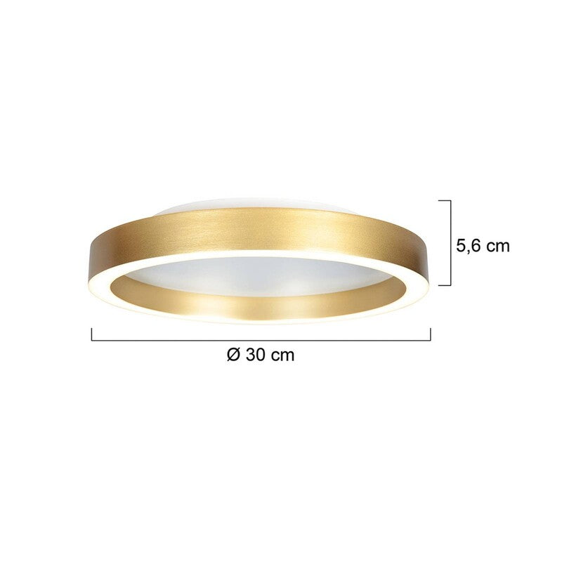 Steinhauer Ringlux Gold-coloured LED Ceiling Lamp, Ø 30 Cm, Metal, 2,700 K - 8712746180909