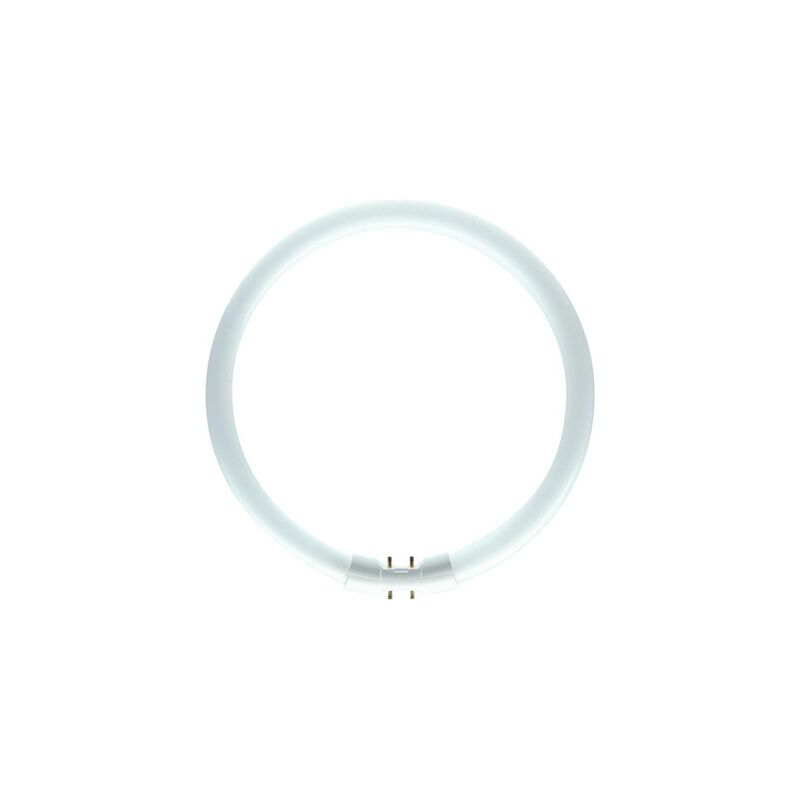 Philips Leuchtstofflampe TL5-C Rundleuchte 830 warmwhite 2GX13 Circular Pro 40W - 8711500640970