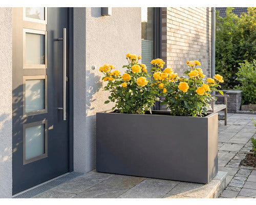 Palatino Pflanzkübel Pflanzgefäß Lotte 240l wetterfest anthrazit 120x40cm - 4260445861420