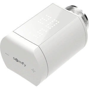 D-Ware Somfy 1870508 Funk-Alarmanlagen-Erweiterung Funk-Thermostat Heizung DEFEKTWARE