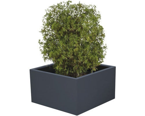Palatino Pflanzkübel Pflanzgefäß Clara Metall anthrazit UV-beständig 100x100cm - 4260445861376