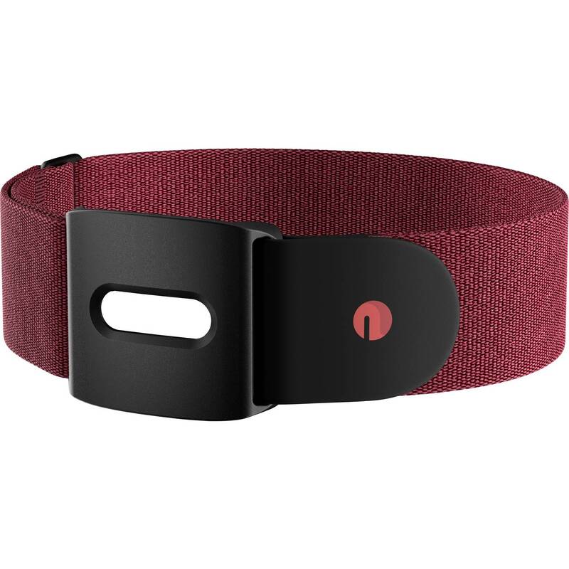 Heart Rate Monitor Belt Polar M-XXL - 0725882065250