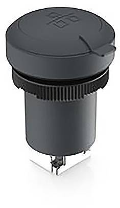 Rafi RAMO 22 F RJ45 Bund rund Frontring Buchse schwarz RJ45- 2 STÜCK - 2050009900847