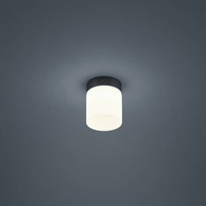 B-Ware Helestra Deckenleuchte Lampe LED Zylinder schwarz Opalglas Stahl warmweiss
