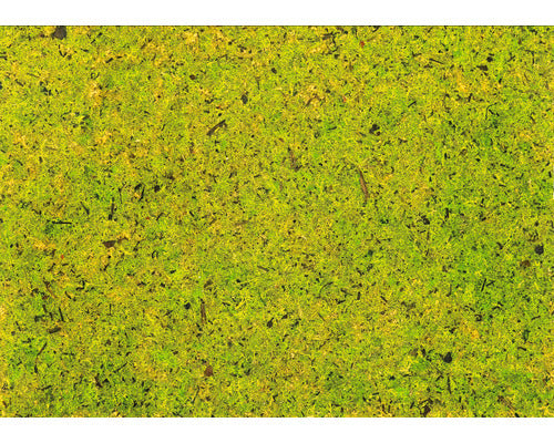 5x 4er-Pack Natürliches Moos transparenter Selbstklebefolie DIN A4 Folie - 9120074680371