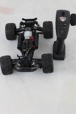 Reely RC Modellauto Elektro Monstertruck 1:14 Allradantrieb 35 km/h Blau RtR