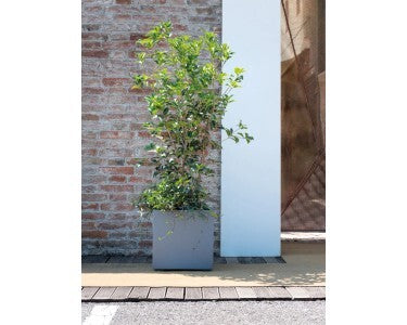 Deroma Pflanztopf Quadro Millenium 39x39cm Aschgrau Garten Pflanzgefäß robust - 0191942105486