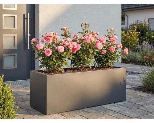 Palatino Pflanzkübel Pflanzgefäß Lotte 240l wetterfest anthrazit 120x40cm - 4260445861420