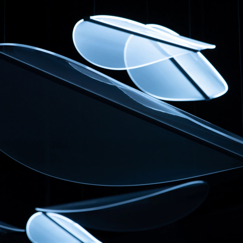 Diphy_icon - 8033913273485