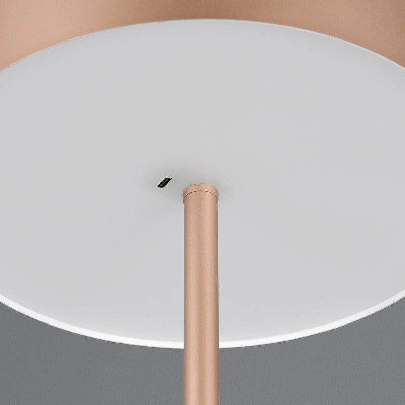 Reality Stehleuchte LED-Akku-Standlampe braun Metall dimmbar coffee Höhe 147 cm - 4017807640915