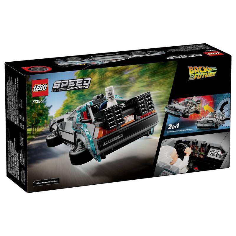 LEGO Bausatz Set Zeitmaschine Modellauto Zurück in die Zukunft Minifiguren 77256 - 5702018068229