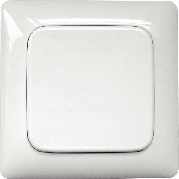 Eltako FT55R alpinweiß Funk-Fernbedienung Aufputz Taster Schalter Funk max 30 m - 4010312313992