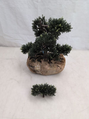 C-Ware hjh OFFICE Kunstpflanze Kunstbaum Bonsai 44 cm grün künstliche Pflanze