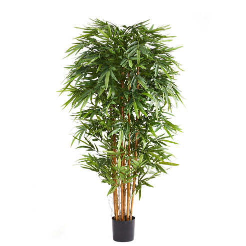 Aplanta Bambus Kunstpflanze Künstlicher Bambus Nayoko Grün 150 cm Dekopflanze - 4251703940759