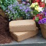 Proflora Kokosziegel Blumenerde torffrei 8l Ziegel verbessert Bodendurchlüftung - 4251232700015