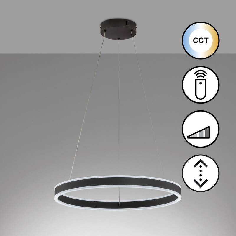 FISCHER & HONSEL Hängeleuchte Sirko LED Pendelleuchte dimmbar schwarz matt Ø60cm - 4003694610483