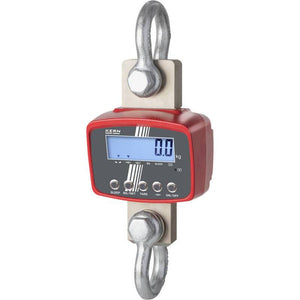 Kern HFD 600K-1M Kranwaage Waage 600 kg Ablesbarkeit 200 g SIEHE TEXT/FOTO