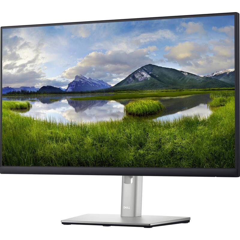 Dell P2422H LED Bildschirm Monitor Display 23.8" EEC C 1920x1080 Full HD - 5397184505175