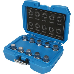 B-Ware Brilliant Tools Felgenschloss Sortiment BT691310 10 Radmutter-Löseschlüssel
