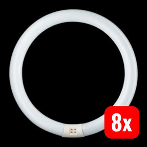 8x B-Ware Philips Röhrenlampe Leuchtstoffring G10q 40W 830 dimmbar warmweiß Ø40,64cm
