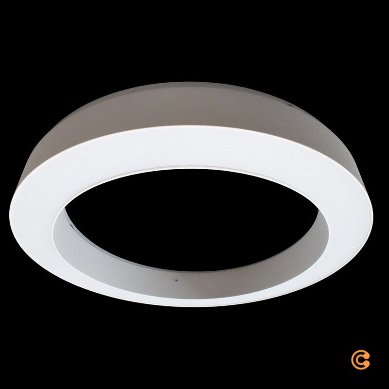 Paul Neuhaus Deckenleuchte LED PURE Lines Round Fernbedienung Schneeweiß 35 cm - 4012248395226
