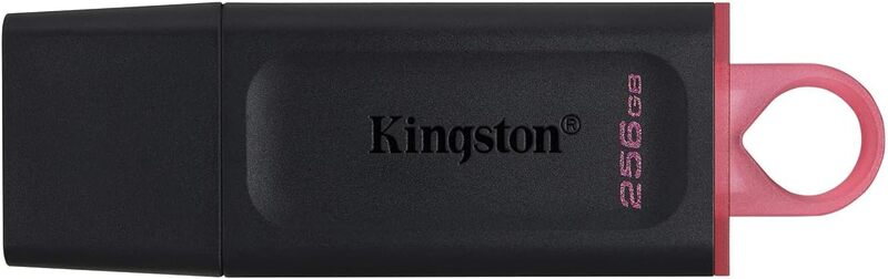 Kingston DataTraveler Exodia 256GB USB 3.2 Flash-Laufwerk Schwarz/Pink - 0740617310023