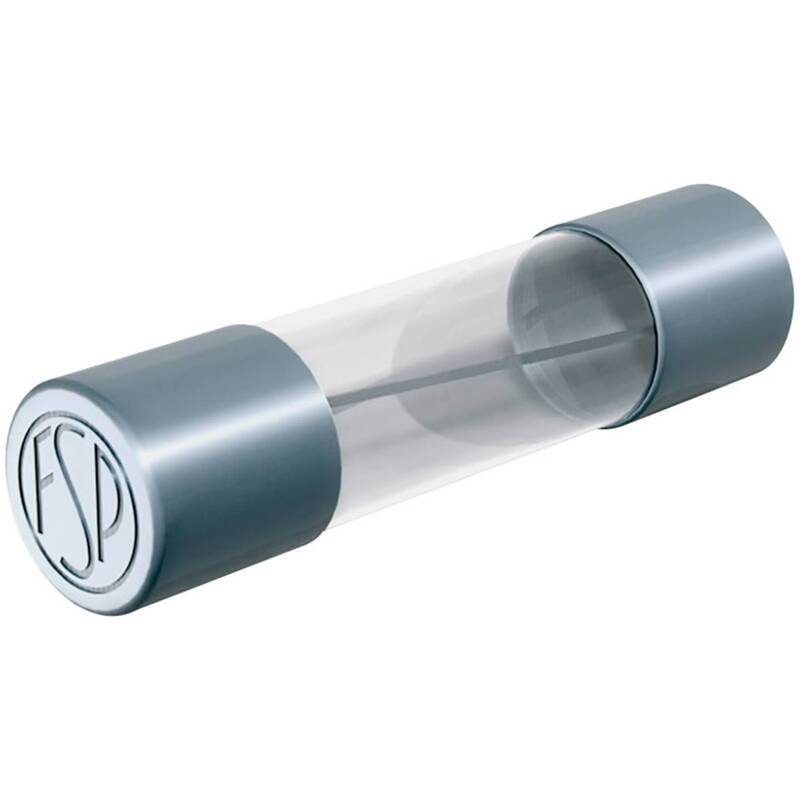 Püschel Feinsicherung FST10,0B 10A 250V Träge Sicherung Glasrohr 5x20mm 10 Stück - 2050005450025