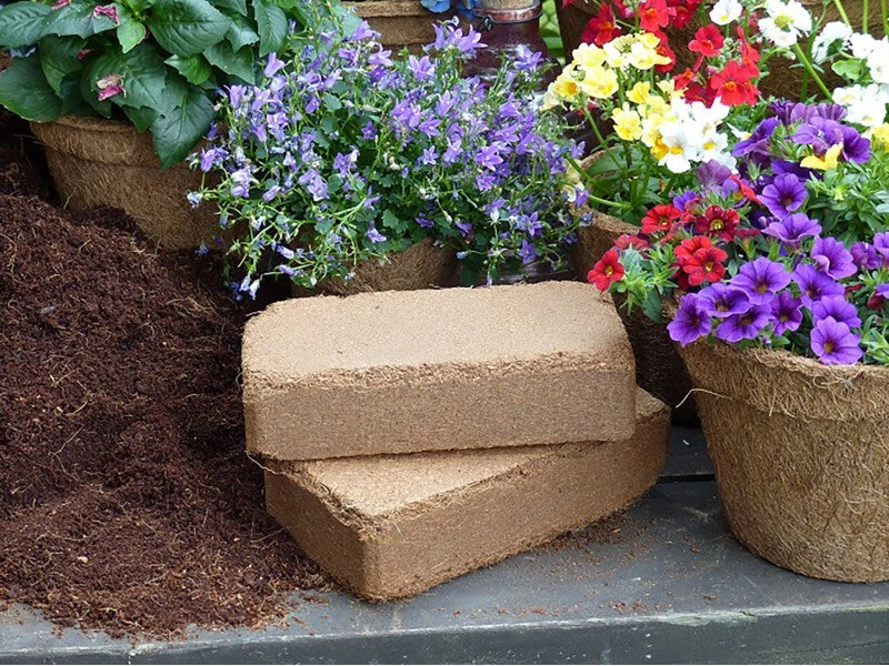 Proflora Kokosziegel Blumenerde torffrei 8l Ziegel verbessert Bodendurchlüftung - 4251232700015