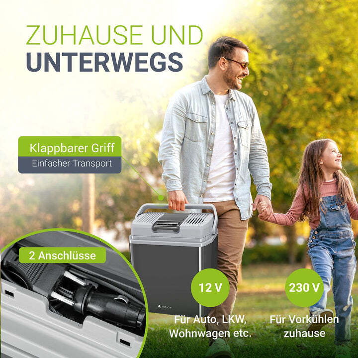 Kühlbox Nordpol Elektrische Kühlbox 24L 12V 230V Grau für Ausflüge und Reisen - 4260565528005