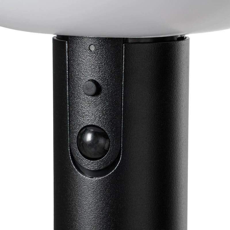 Lindby Wegeleuchte Obintu LED Gartenlampe mit Bewegungsmelder schwarz 63cm - 4255830915765