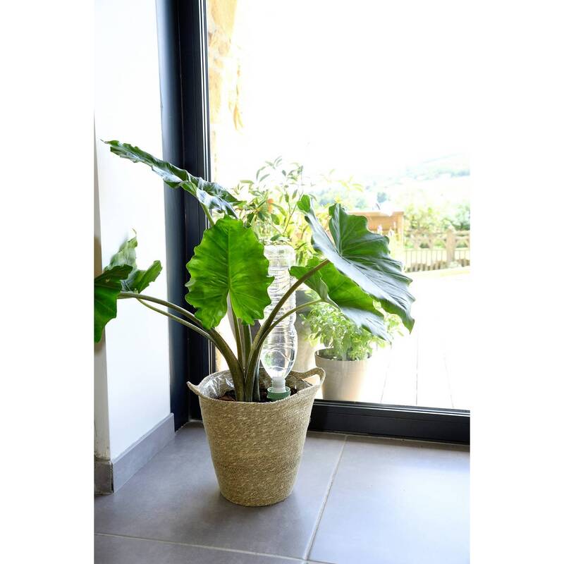 Hozelock Bewässerungskegel Aquasolo Keramik 4 Kegel für Töpfe 45-60cm - 3176335003997