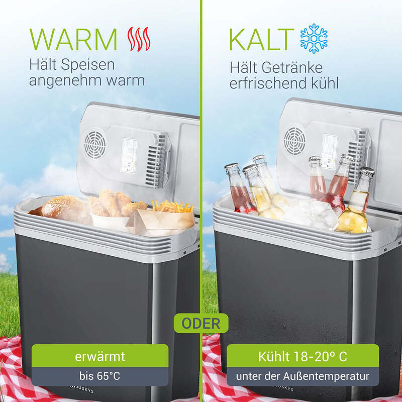Kühlbox Nordpol Elektrische Kühlbox 24L 12V 230V Grau für Ausflüge und Reisen - 4260565528005