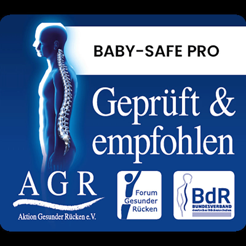 Britax Babyschale BABY-SAFE PRO Style Autositz Mineral Grey 0-13kg von Geburt an - 2000587282231