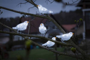 B-Ware Konstsmide 6144-203 Acryl-Figur Vögel 5er Set LED Weiß Beleuchtung Dekoration