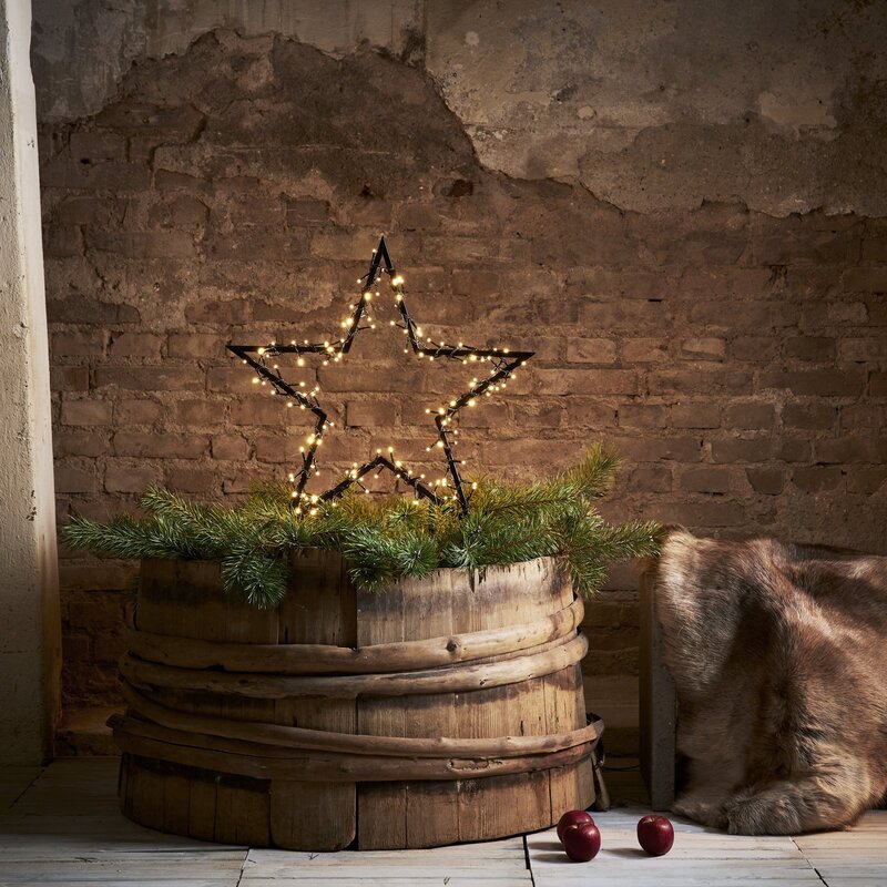 Star Trading LED-Dekoleuchte Spiky mit Erdspießen Weihnachtsbeleuchtung 60 cm - 7391482051523