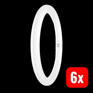 6x B-Ware OSRAM LED G10q Ringform 18.3 W 32 W 2200 lm Neutralweiß 300 mm 1 St.