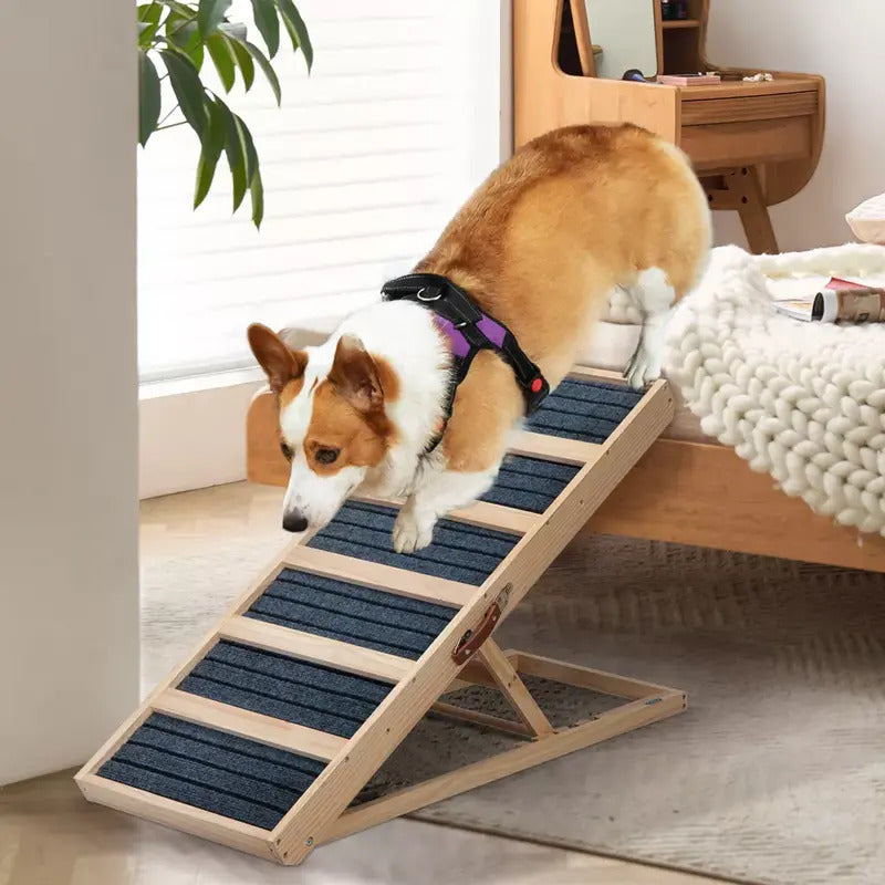 Sandinrayli Klappbare Hunde-Rampe aus Holz rutschfest 40-61 cm Höhe bis 60 kg - 6974062897745