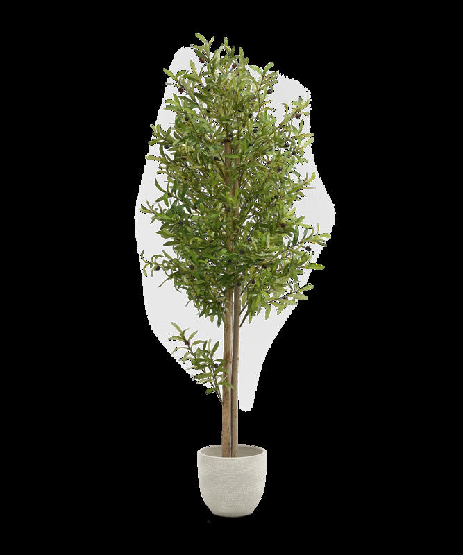 Maia Shop Künstlicher Olivenbaum Kunstpflanze Baum 180 cm Naturholzstamm Oliven - 8435240999050