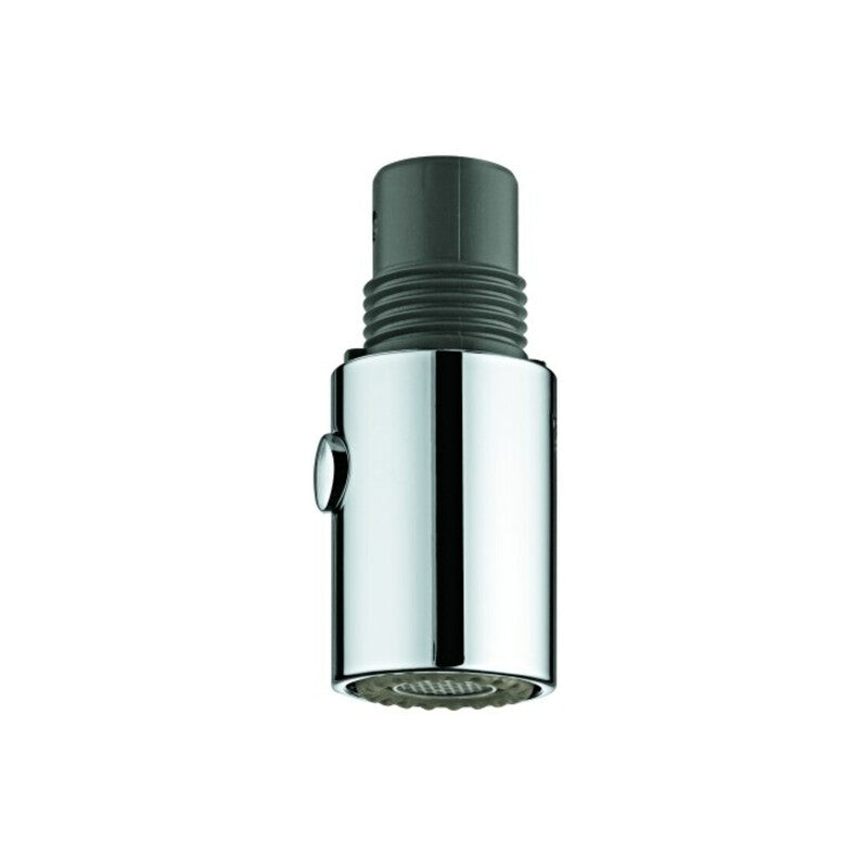 Grohe Spülbrause Duschkopf Modell 46857 Antikalksystem Chrom 2 Strahlarten - 4005176937309