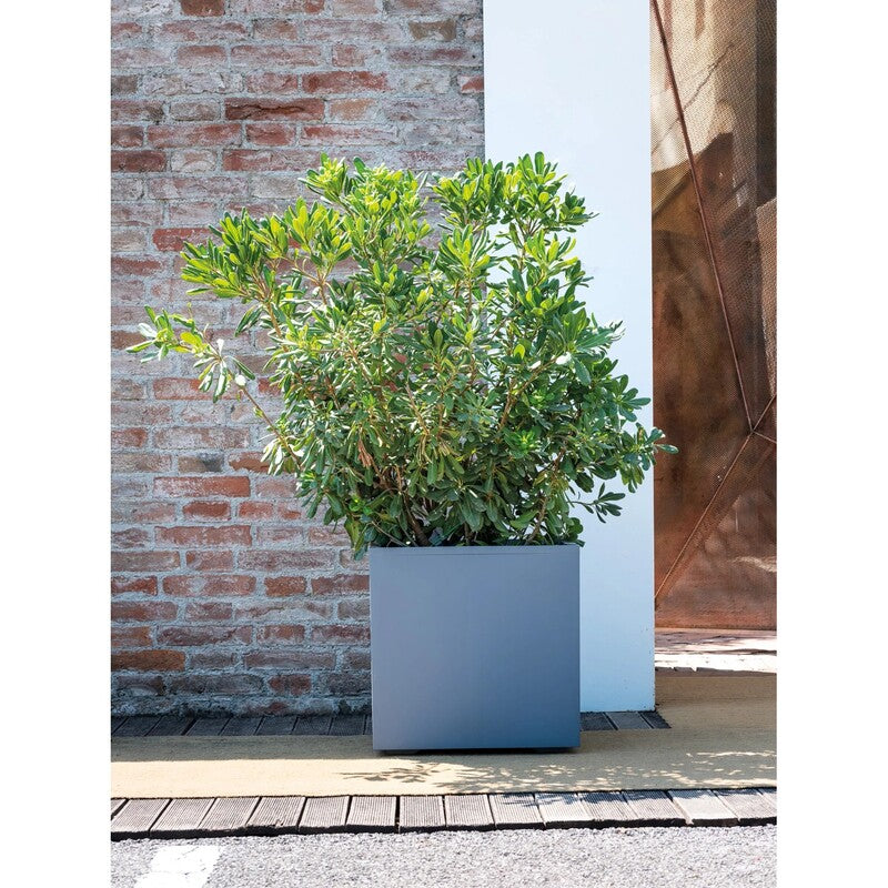 Deroma Pflanztopf Quadro Millenium 49x49x49cm wasserdicht frostbeständig - 0191942105509