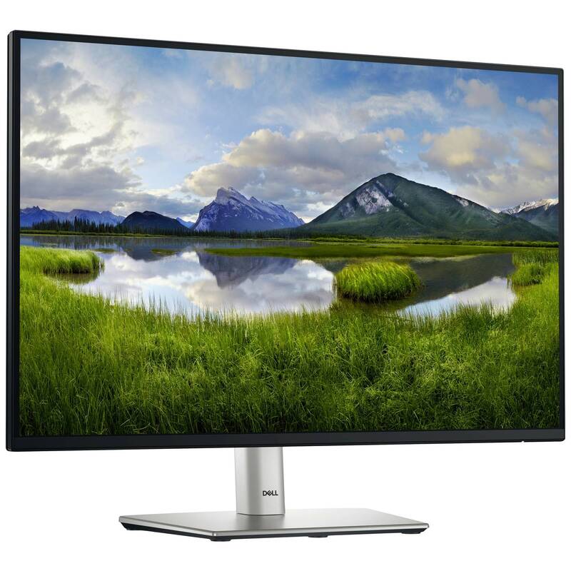 Dell P2425 LED Monitor Bildschirm Monitor 24 Zoll Full HD Schwarz DEFEKTWARE - 5397184821671