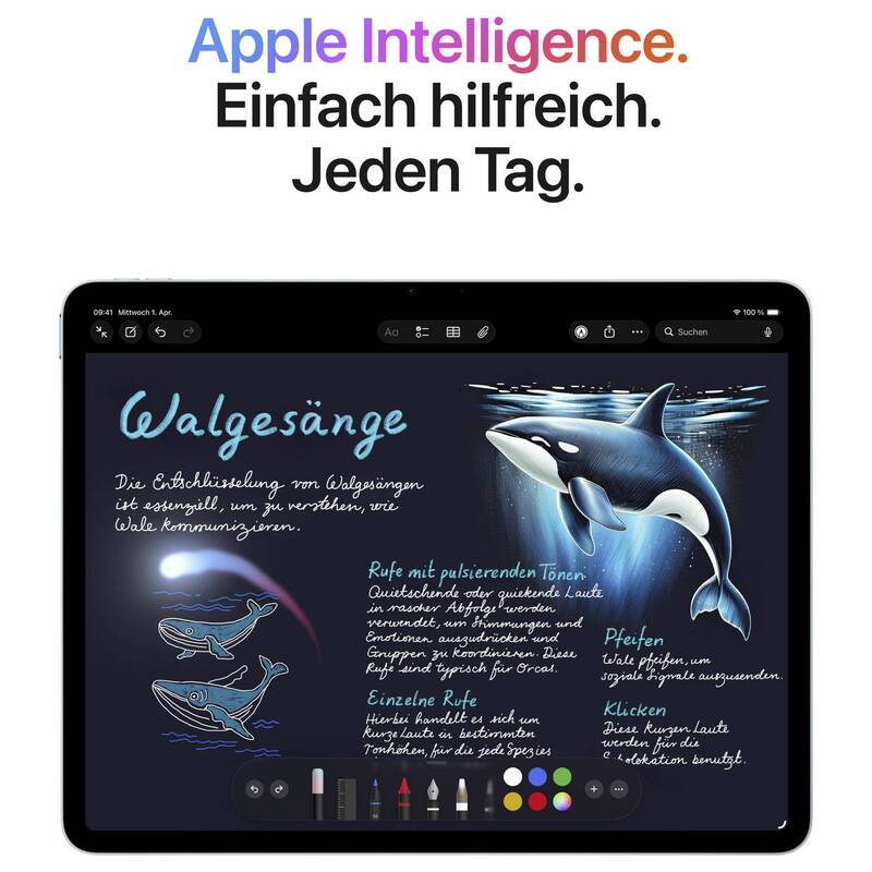 0195950823646 - 0195950823646
