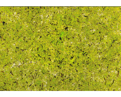 5x 4er-Pack Natürliches Moos transparenter Selbstklebefolie DIN A4 Folie - 9120074680371